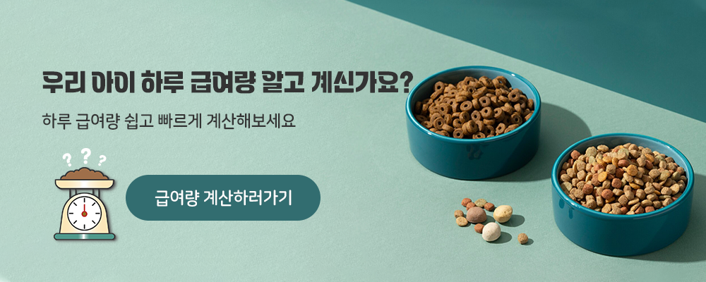 banner_design